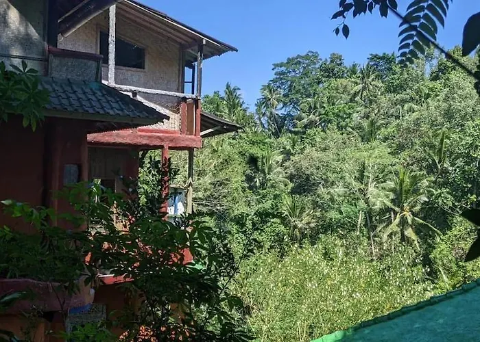 Greenspiracy House *